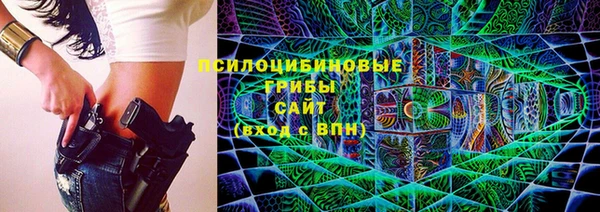 твердый Богданович