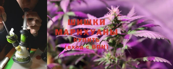 твердый Богданович