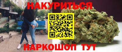 альфа пвп Владикавказ