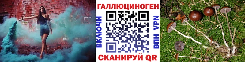 ОМГ ОМГ вход  что такое   Великий Устюг  Галлюциногенные грибы Magic Shrooms 