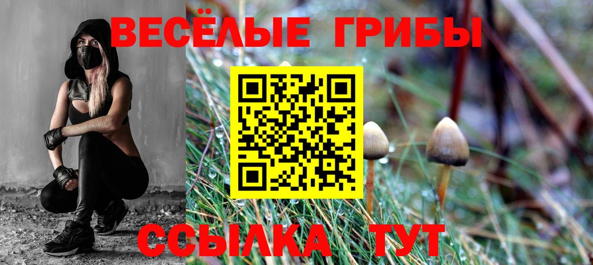 Псилоцибиновые грибы Psilocybine cubensis Великий Устюг